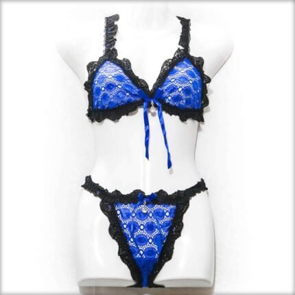 Fancy Net Blue Bikini Set Panty